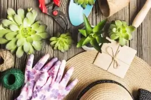 Best Gardening Gift for Woman Who Has Everything